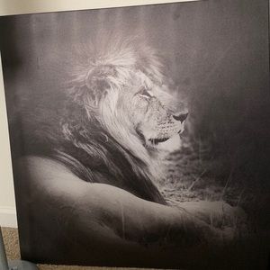 Lion picture frame